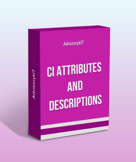 CI Attributes and Descriptions