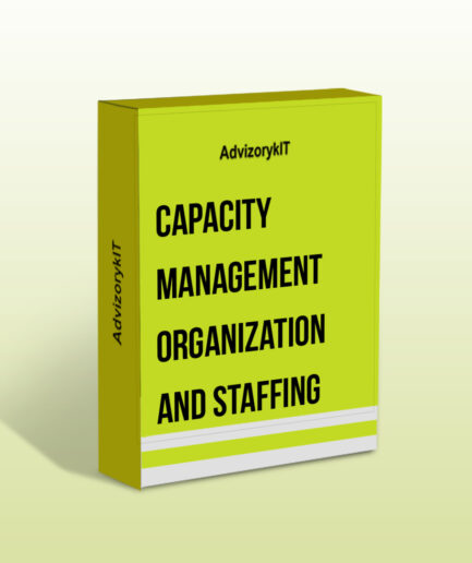 Capacity Management Organization and Staffing