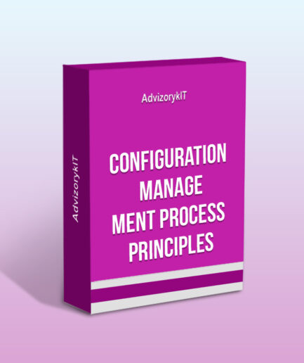 Configuration Management Process Principles