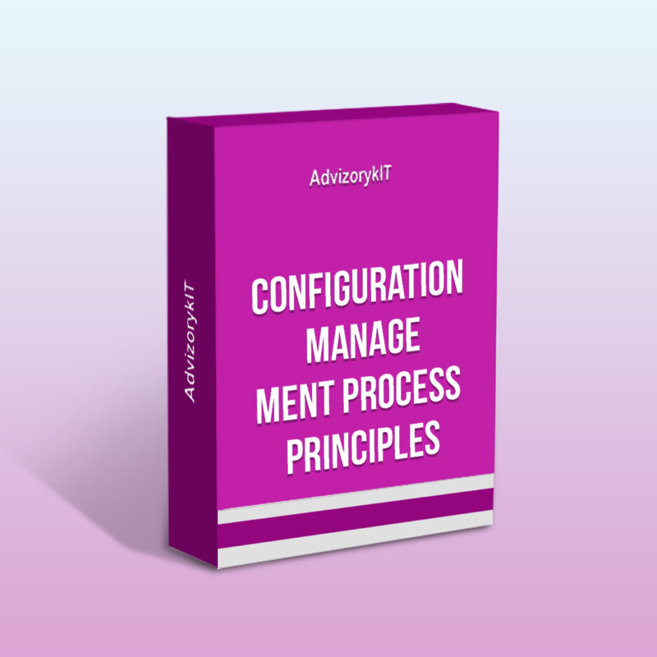 Configuration Management Process Principles