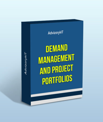 Demand Management And Project Portfolios