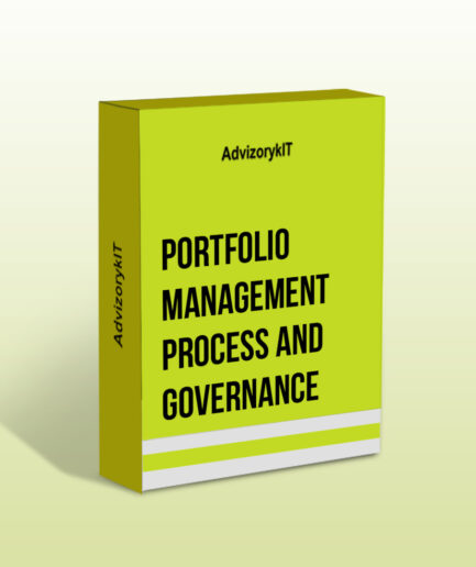 Portfolio Management Process and Governance