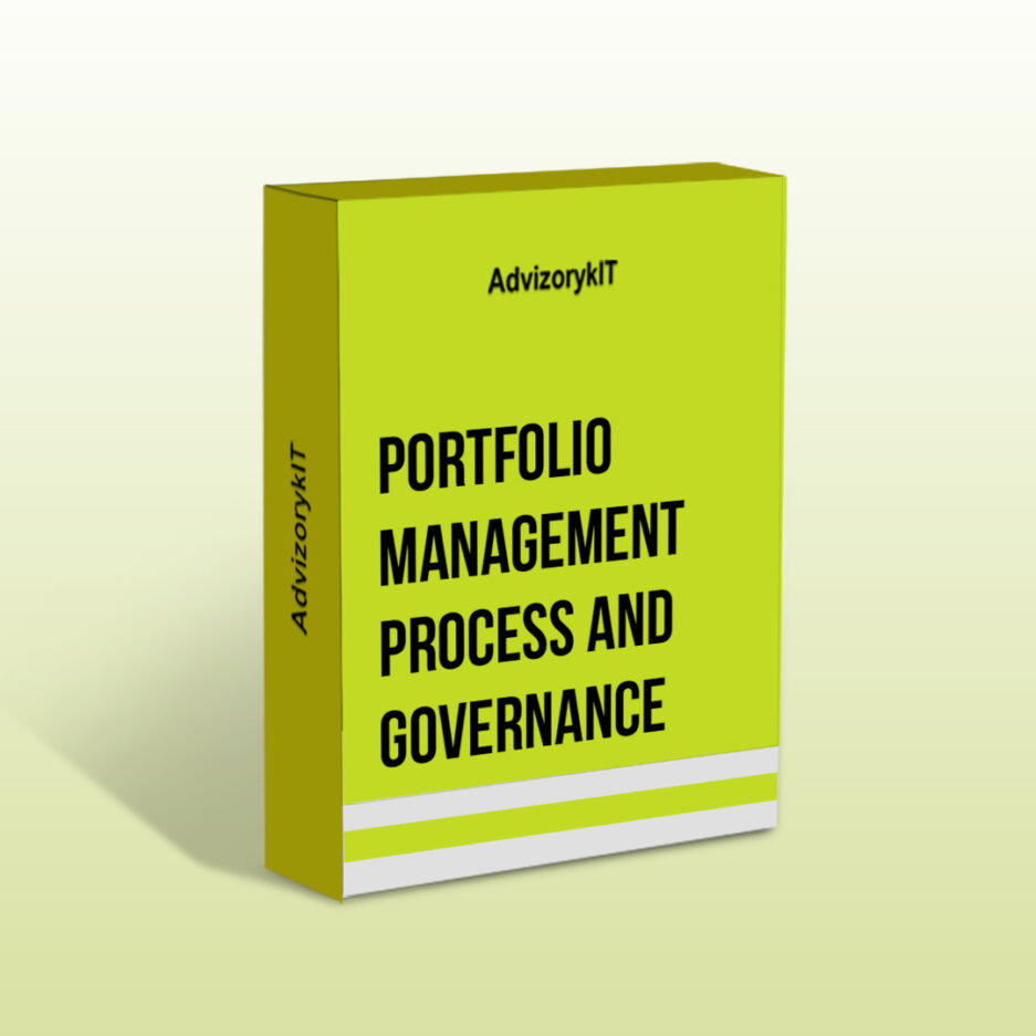 Portfolio Management Process and Governance