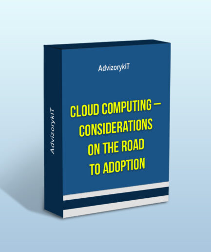 Cloud Computing – Considerations On The Road To Adoption