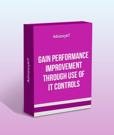 Gain Performance Improvement Through Use Of IT Controls