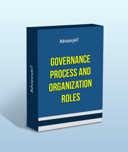 Governance Process And Organization Roles