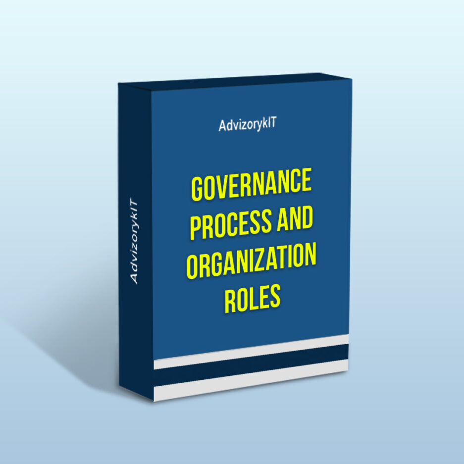 Governance Process And Organization Roles