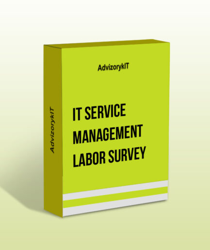 IT Service Management Labor